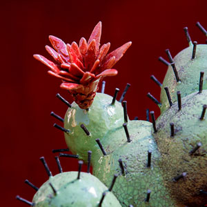 Les Briscarts Parcours d'ateliers d'artistes Montpellier