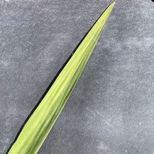 Les Briscarts Parcours d'ateliers d'artistes Montpellier