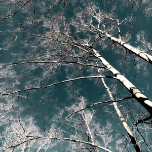 Les Briscarts Parcours d'ateliers d'artistes Montpellier