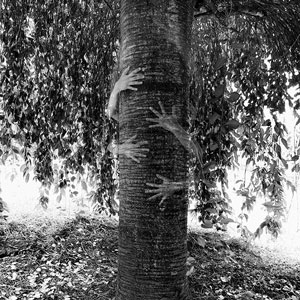 Les Briscarts Parcours d'ateliers d'artistes Montpellier